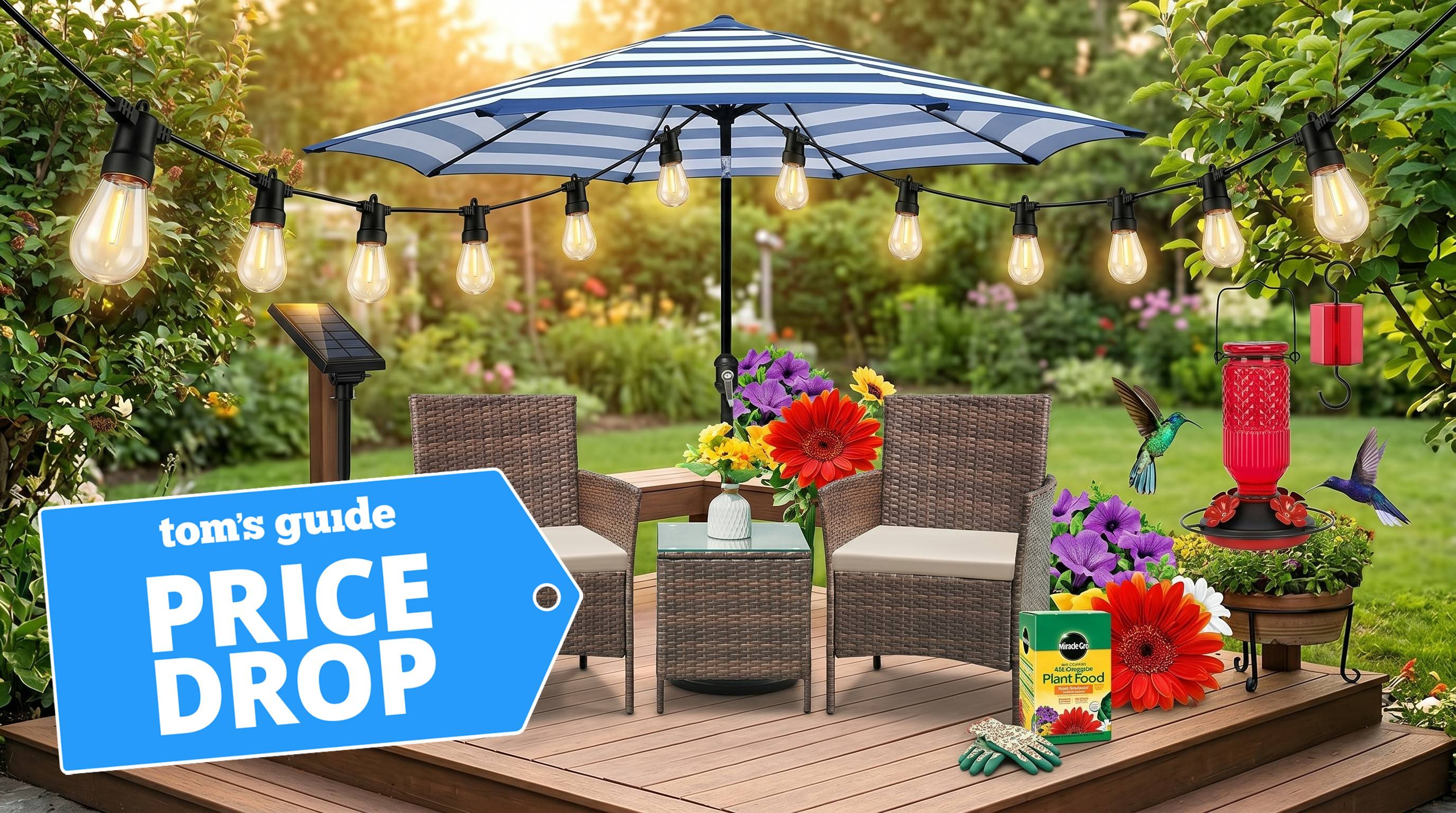 Compilation showing gardening essentials and garden furniture from Miracle-Gro, Feed Garden, Blissun, Brightech, Flamaker.