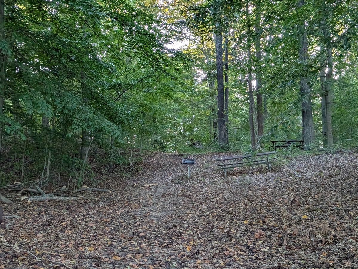 Google Pixel 9 Pro Fold camera samples