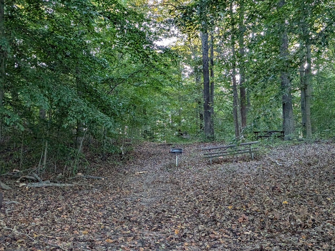 Google Pixel 9 Pro Fold camera samples