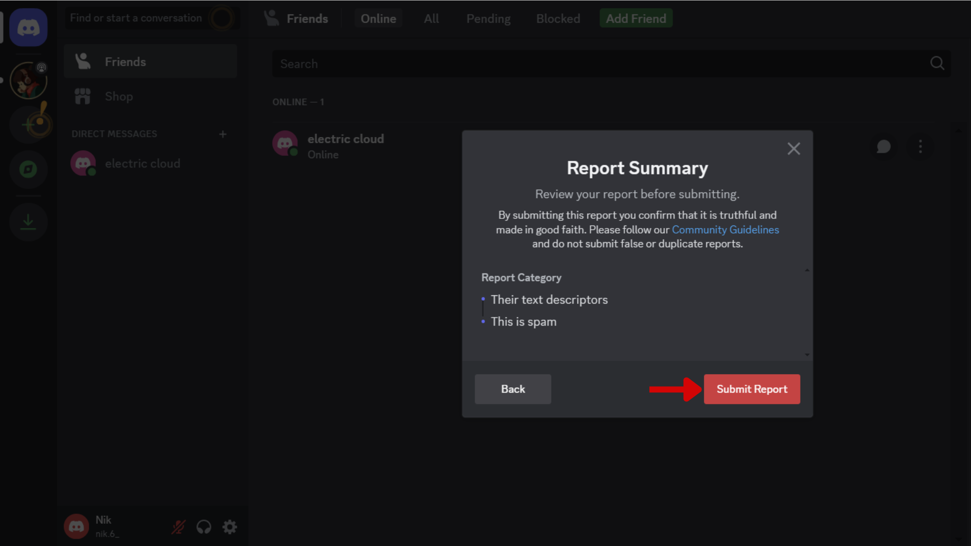 A screenshot of the Discord web app showing the report summary and a red arrow pointing to 