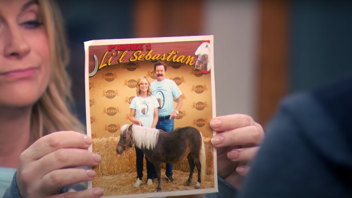 The Best Parks And Recreation Episodes Ranked Cinemablend 