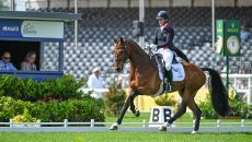 Badminton Horse Trials dressage: Bubby Upton and Cola