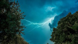 Electrical discharges given off by the leaves of plants during a thunderstorm can significantly alter the surrounding air quality.
