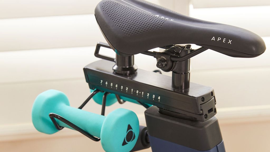 schwinn lulu women's cruiser bike