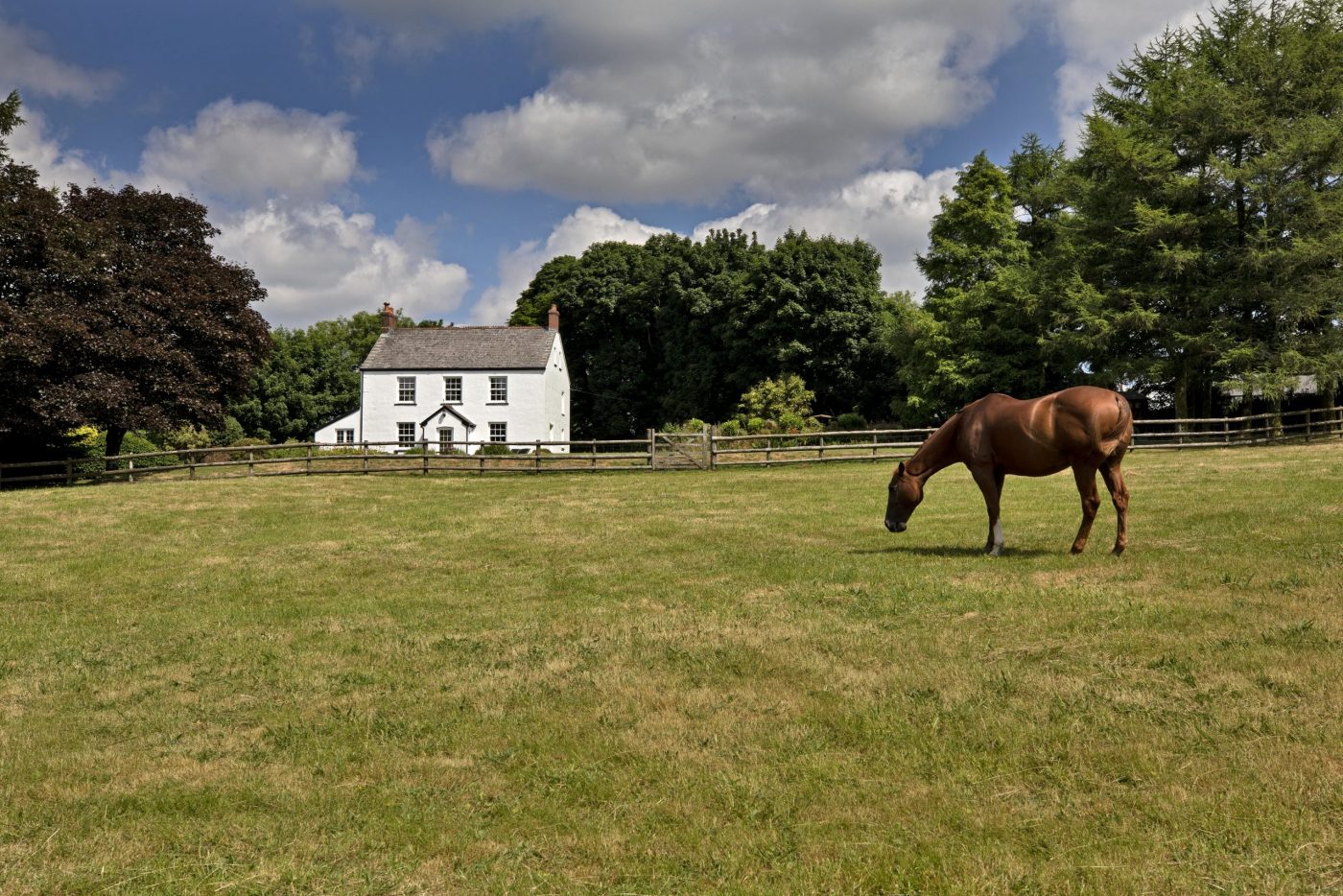 Lower-Willsworthy-House-eXT2-scaled-e1595845074834.jpg