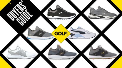 Puma golf best sale shoes size chart