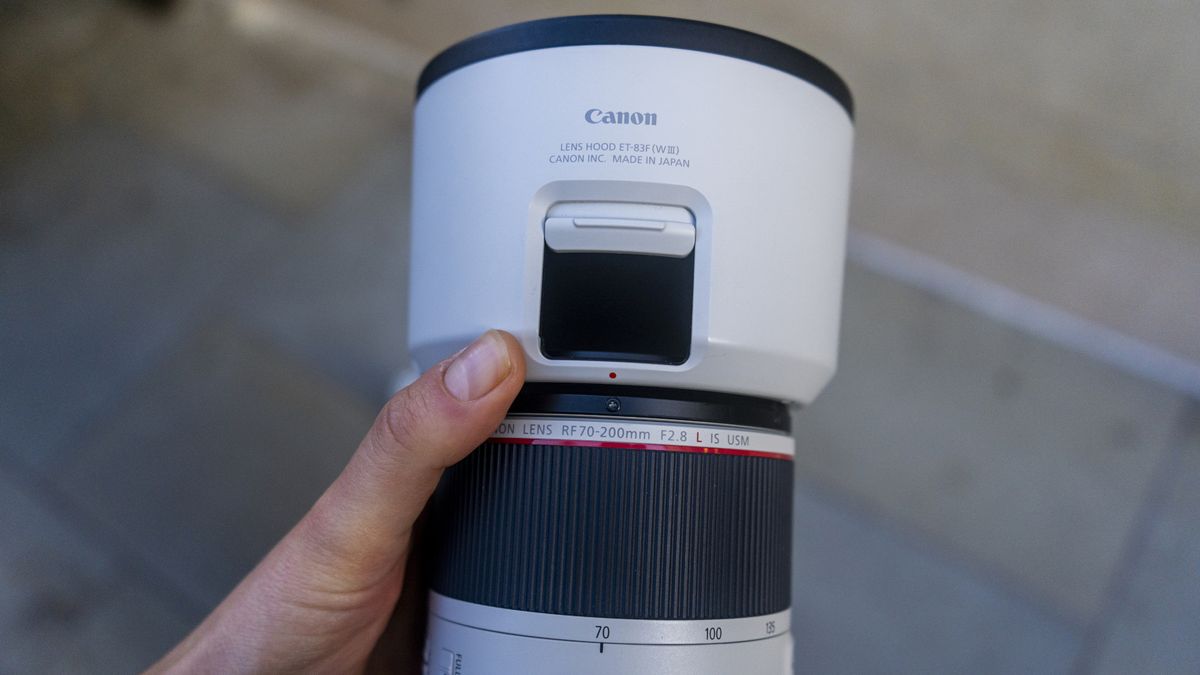 Canon RF 70-200mm f_2.8 2_image for Canon RF 70-200mm f2.8 lens review_Lauren Scott