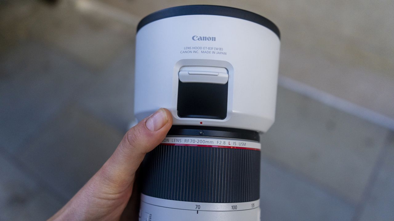 Canon RF 70-200mm f_2.8 2_image for Canon RF 70-200mm f2.8 lens review_Lauren Scott