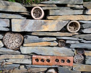 insect hotel built into a stone wall
