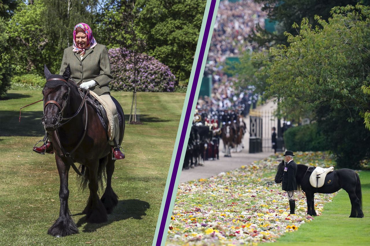 Her Majesty the Queen riding her fell pony, Emma alongside an image of Emma at the monarch&#039;s state funeral on September 19, 2022