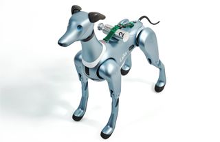 Laika, the robotic dog for space exploration, by Jihee Kim