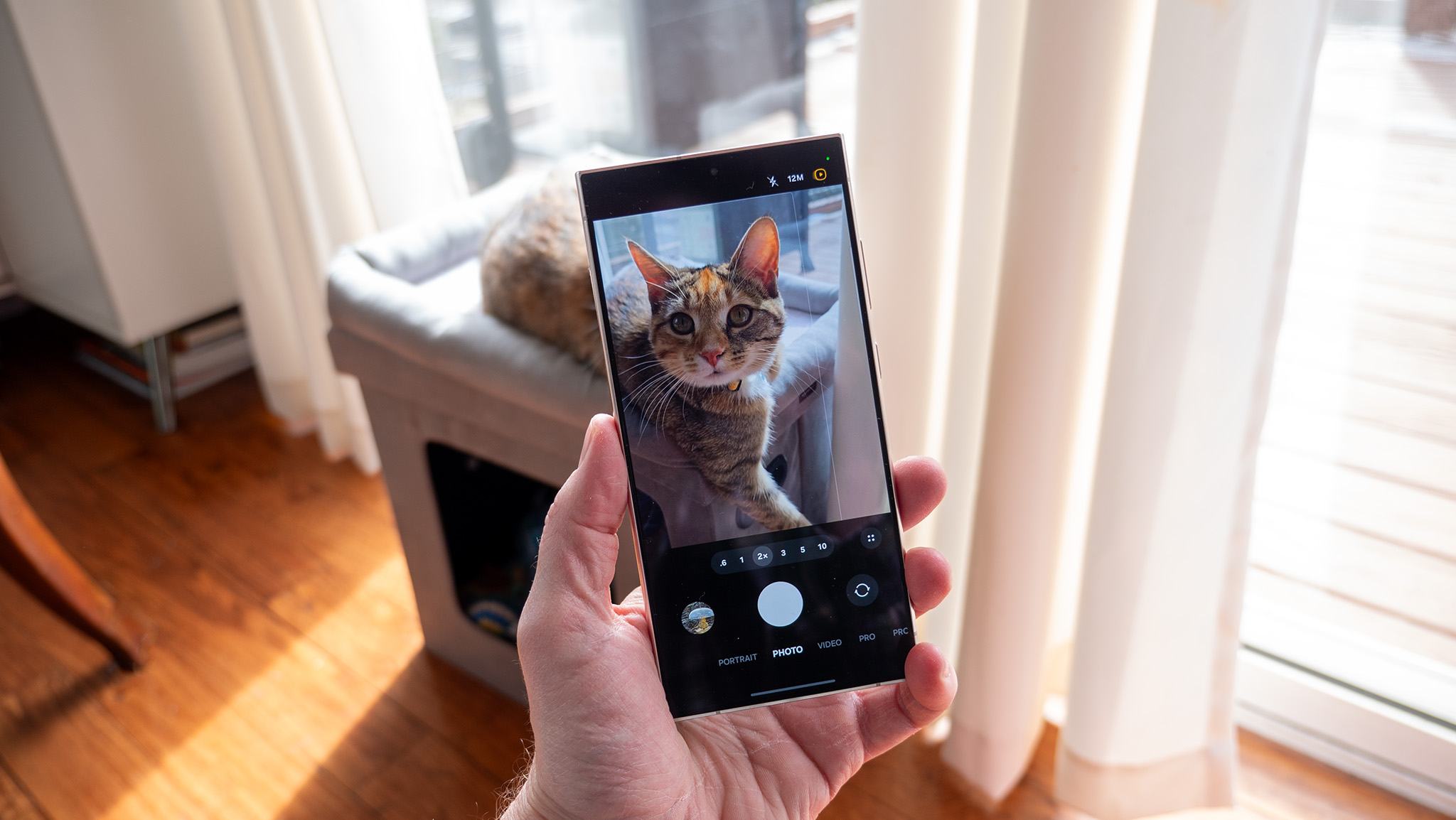 Taking a picture of a cat with a Samsung Galaxy S24 Ultra running One UI 7