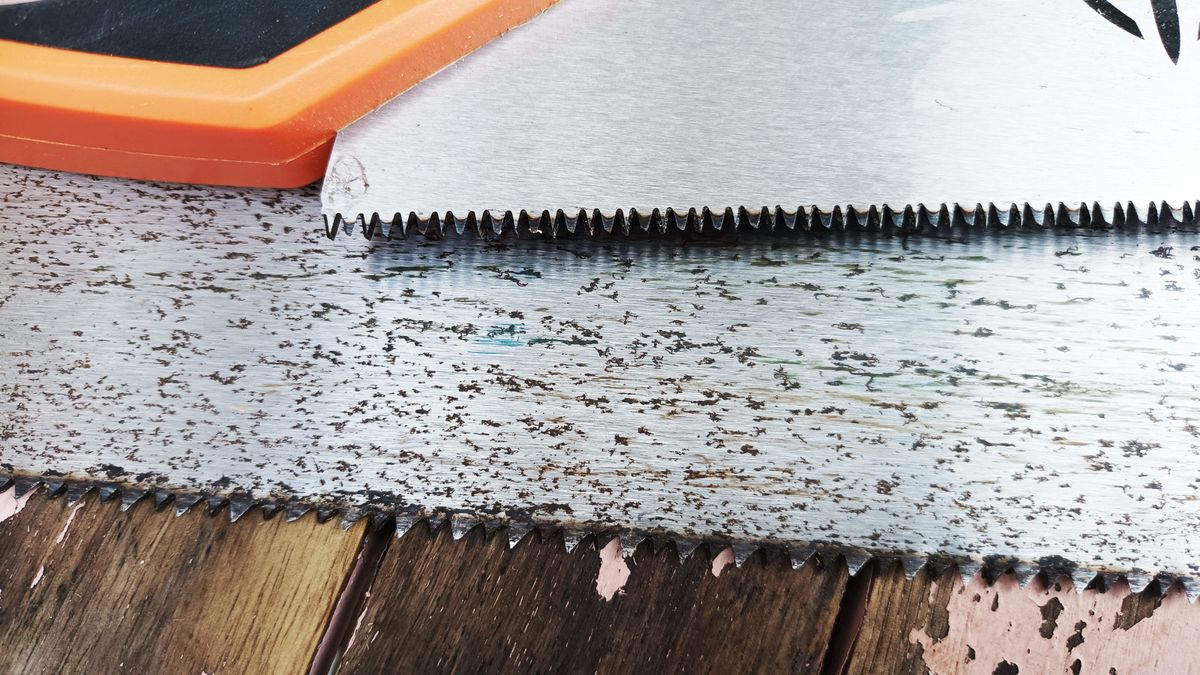 Close up of saw teeth on two hands saws