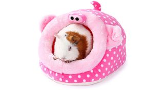 JanYoo guinea pig bed accessory