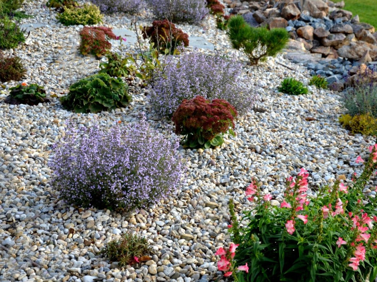 A Gravel Garden With Plants Flowers And Rocks