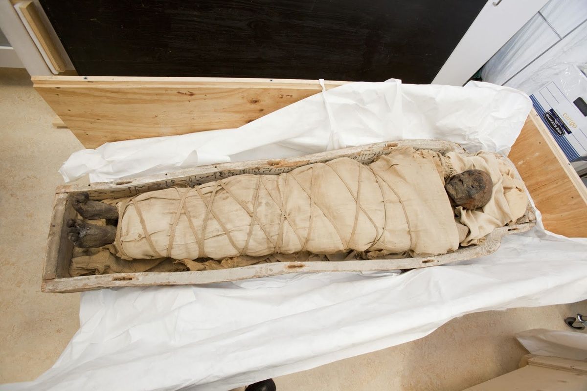 This 1,700-year-old mummy has a brain, no heart and plaques over her sternum and abdomen, say researchers. Here, the mummy is being unboxed on the first day of a scanning session at the Montreal Neurological Institute. 