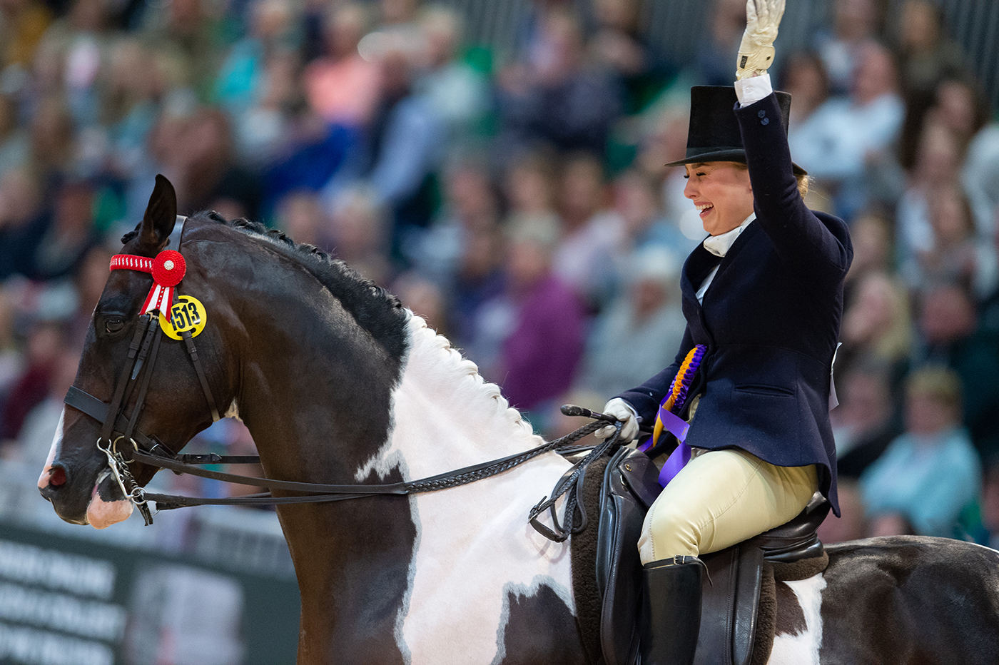 HOYS 2019