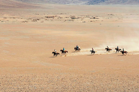 Namibian desert