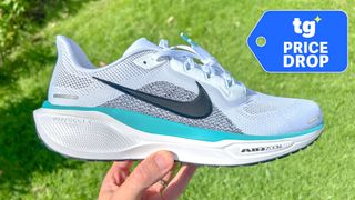 Nike Pegasus 41 running shoes