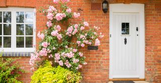 brick cottage house exterior with a pink climbing rose and white painted front door and matching window frames showing how to make your house look expensive on a budget