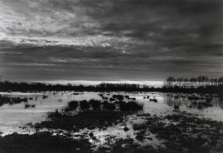 The Somerset levels at dusk, 1998, by Don McCullin