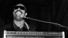 Stevie Wonder.