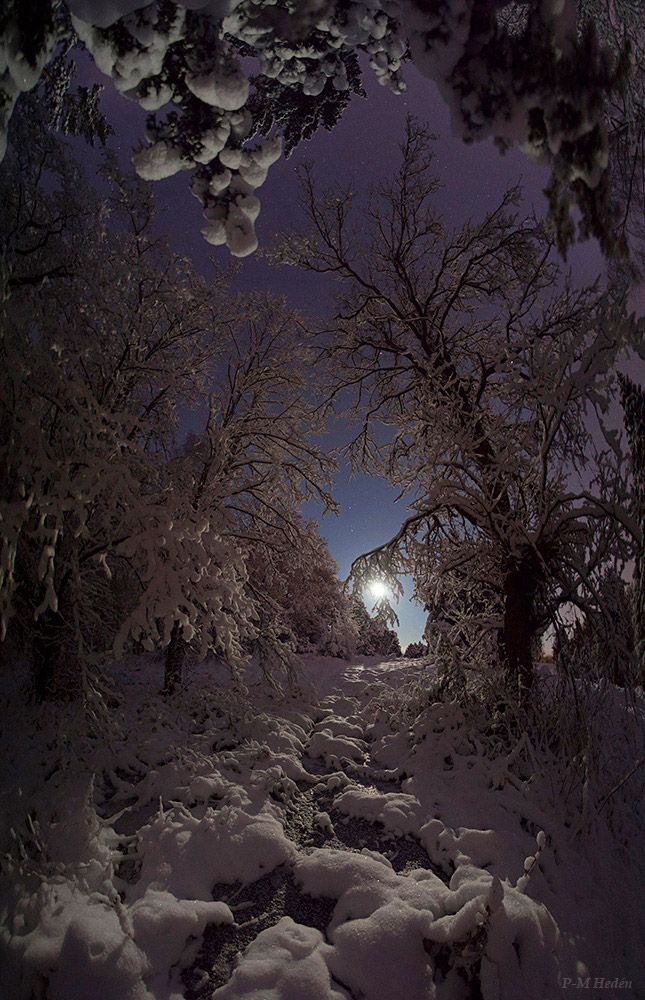 Moonlight Shines Over Swedish Winter Wonderland (Photo)