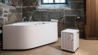 The Wood's SW22-FW dehumidifier in a stone room with a bath