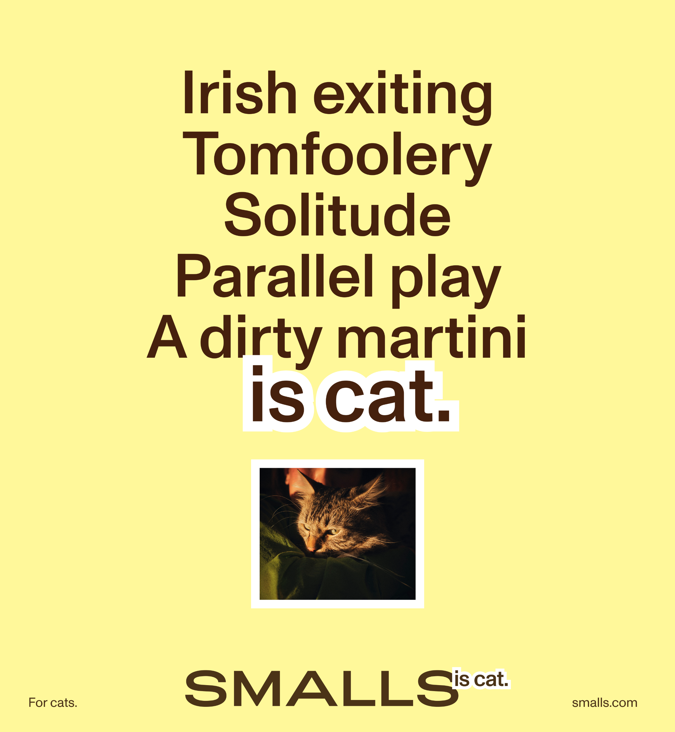 Yellow poster with brown text reading &amp;quot;Irish exiting, Tomfoolery, Solitude, Parallel play, A dirty martini is cat&amp;quot;, alongside a small photo of a tabby cat's face.