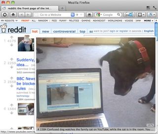 Thumbnail Zoom Plus