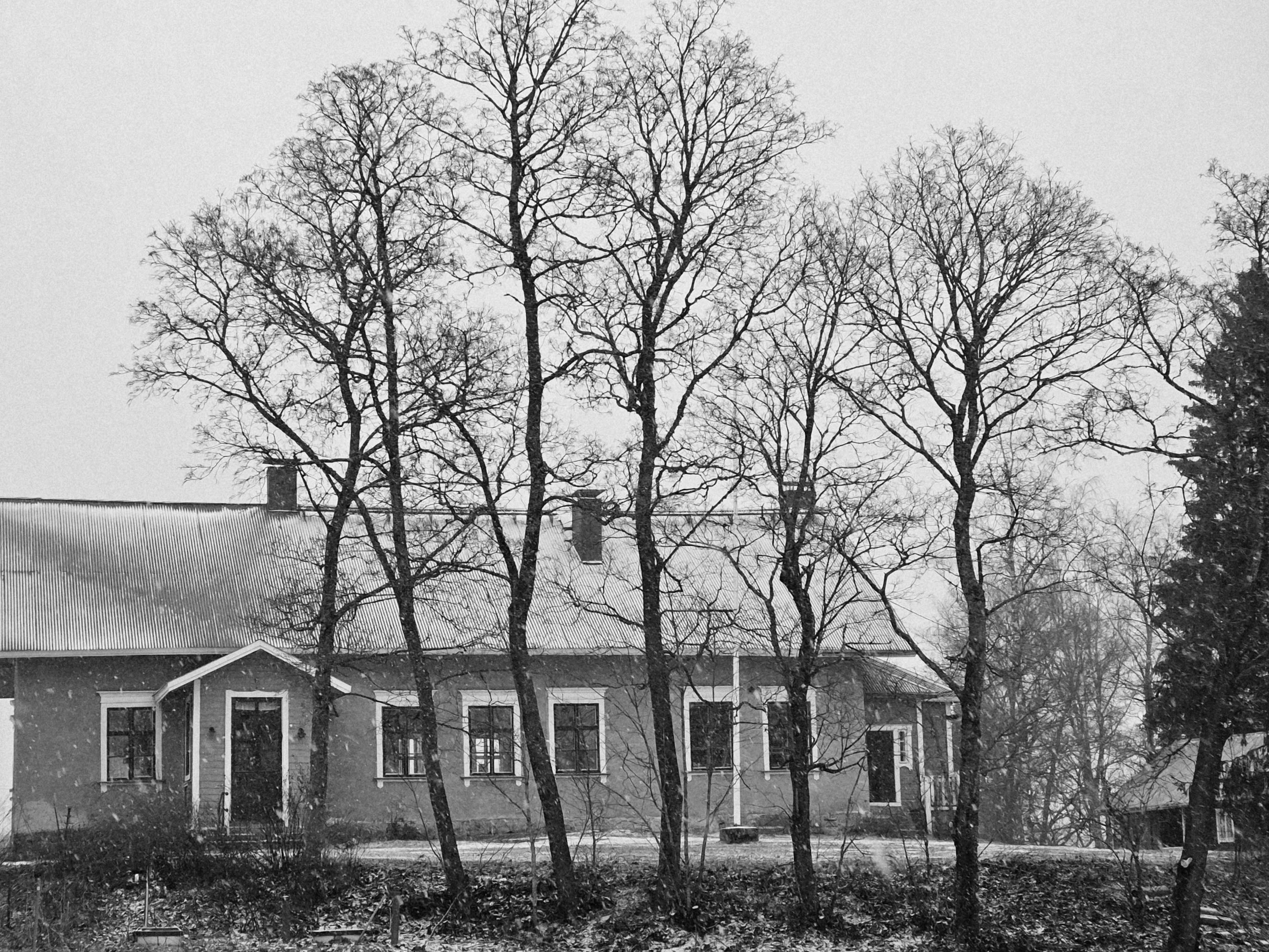 GuruShots - Monochrome Moments Jan 26