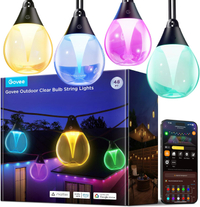 Govee Outdoor Clear Bulb String Lights (48ft)