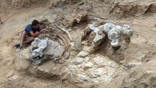 A researcher looks at fossilized bones in the ground