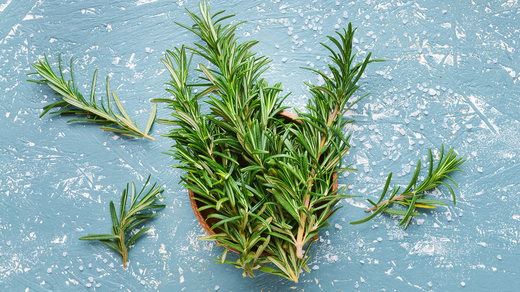 Rosemary sprig