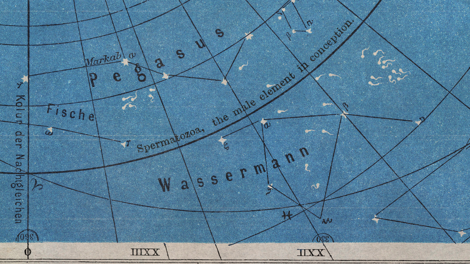 Illustrative collage of a vintage map of the sky with sperm swimming through it