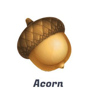 Acorn 5 The Image Editor For Humans 5 5 1