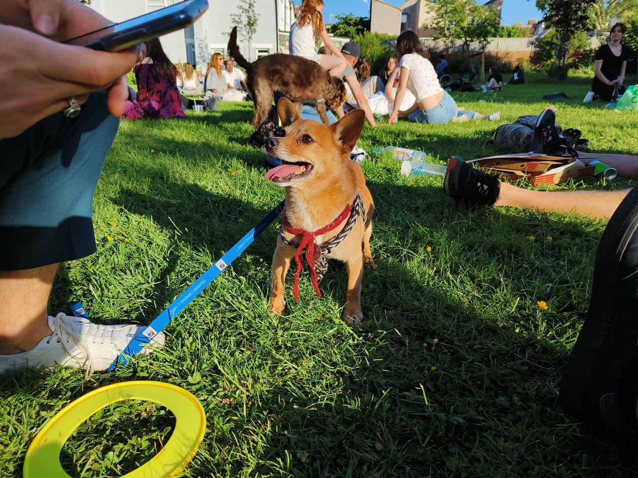 A Realme GT Neo 3 camera sample
