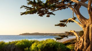 Carmel Beach, California