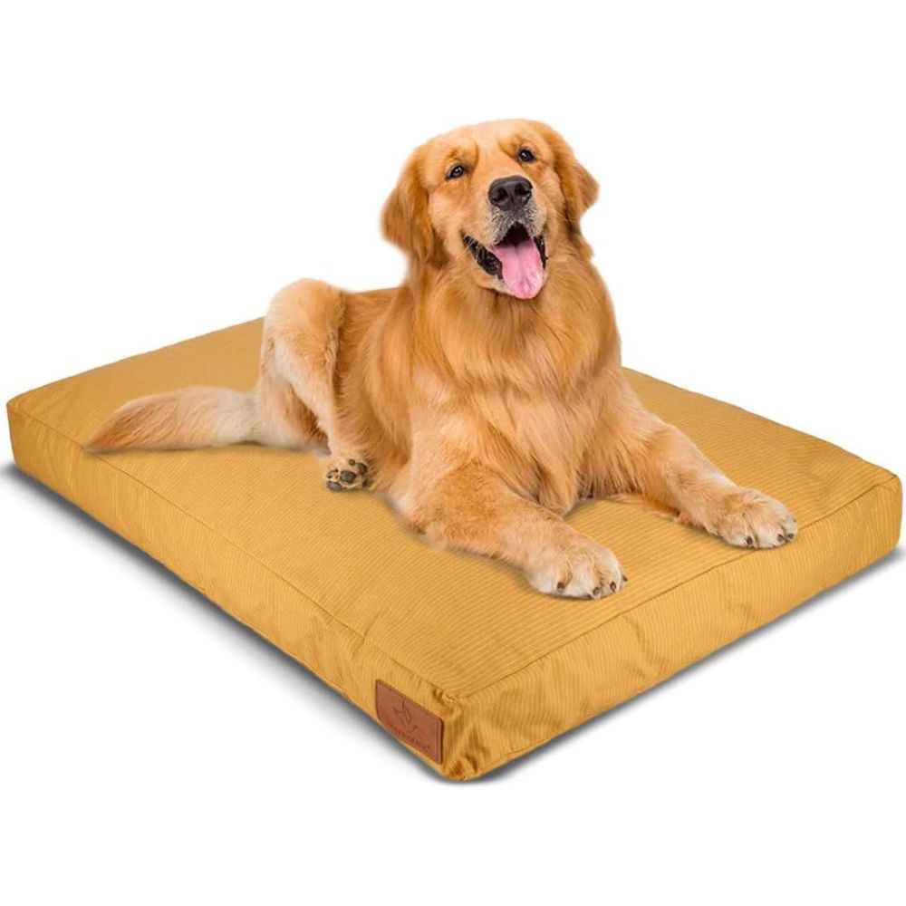 Best dog bed 2024 Cozy beds for sleepy pups PetsRadar