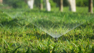 Image of a grass water sprinkler