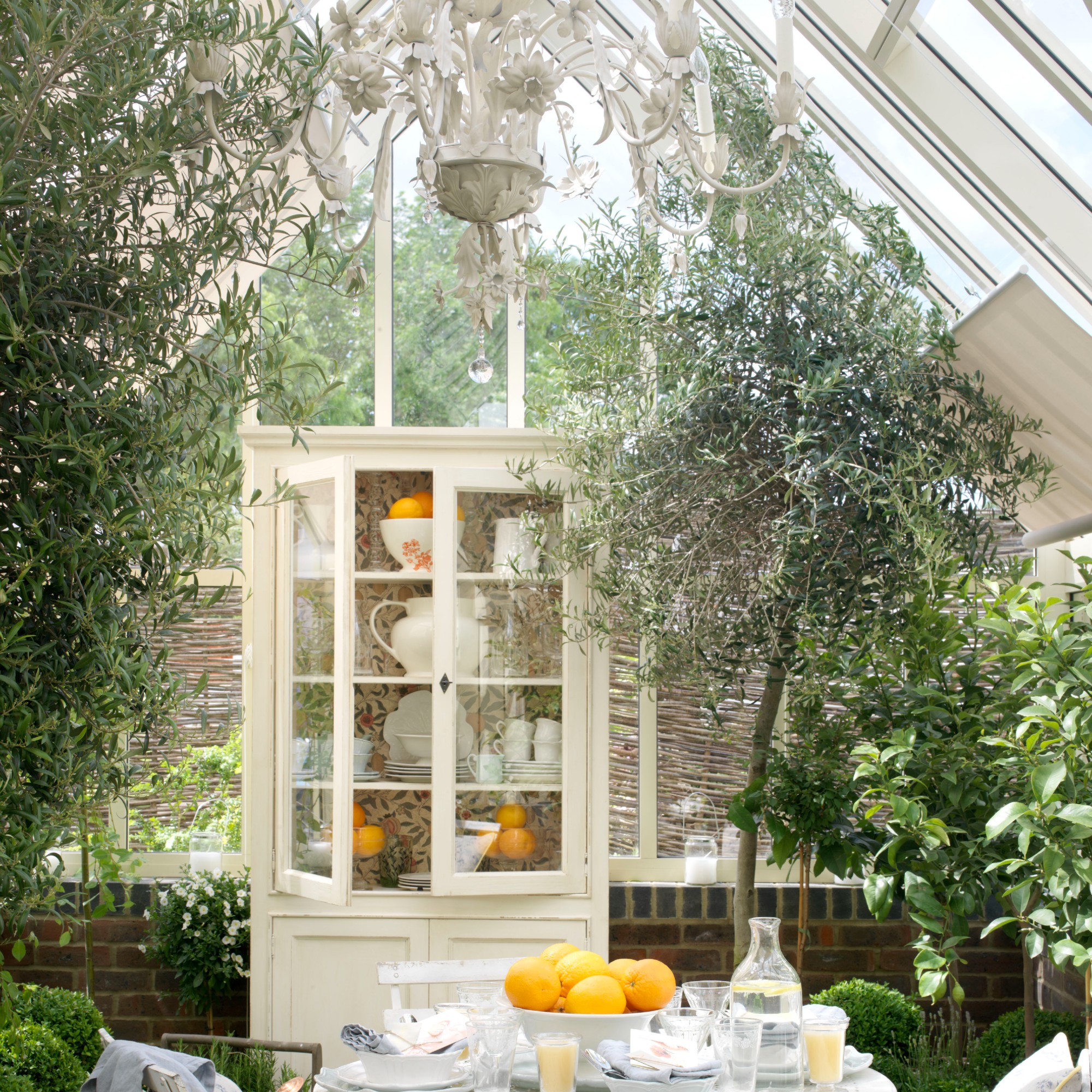A conservatory with a dining area, an olive tree and cream-coloured blinds on the windows