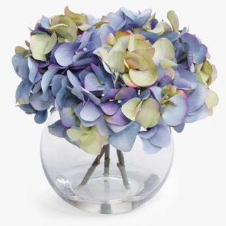 blue hyrangeas in a glass vase