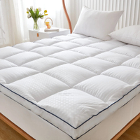 Extra Thick Queen Mattress Topper: was $109 now $39 @ Walmart