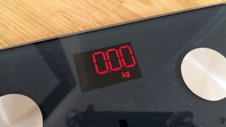 Renpho Smart Body Fat Scale display