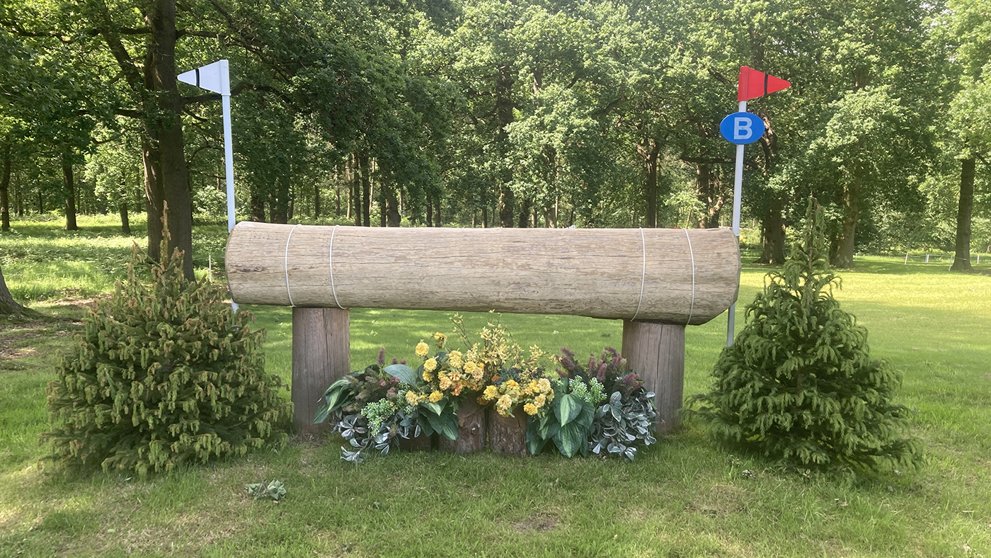 Fence9b-alt