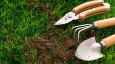 Metal gardening tools on a lawn