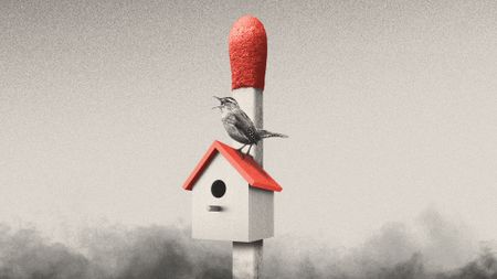 Illustration of a birdhouse mounted on a matchstick