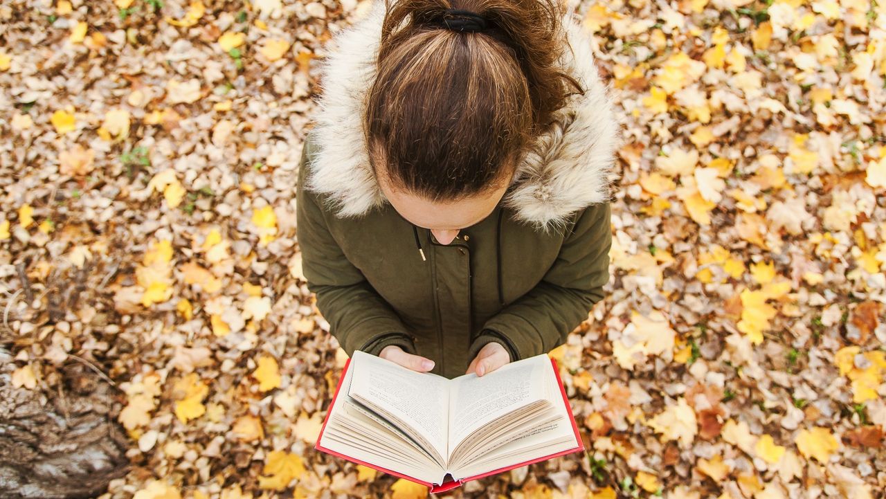 Girl reading a book in the autumn leaves