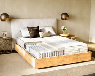 Best organic mattress on bedframe in modern bedroom with plants