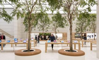 Alternative interior view of Apple's London flagship store featuring light coloured flooring, long wooden display tables with products on top and trees in round planters. There are multiple people inside the store